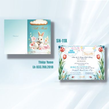 Thiệp mời sinh nhật SN11X