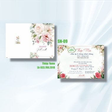 Thiệp mời sinh nhật SN09