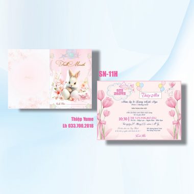 Thiệp mời sinh nhật TN04