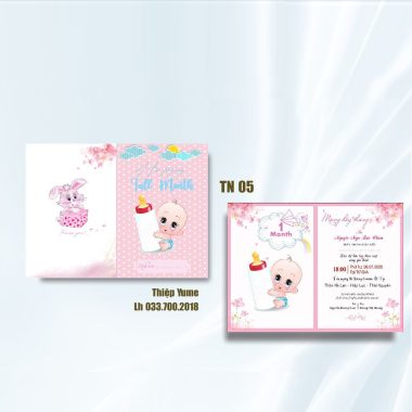 Thiệp mời sinh nhật TN05