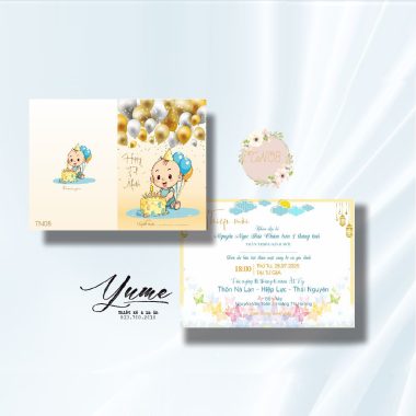 Thiệp mời sinh nhật TN08