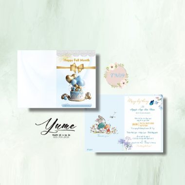 Thiệp mời sinh nhật TN09