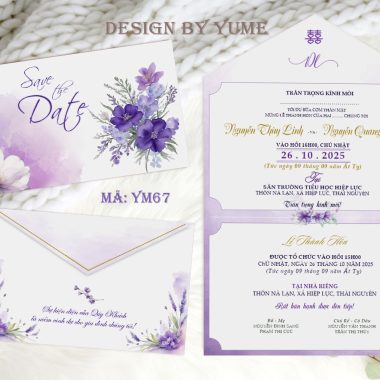 Mẫu Thiệp Cưới YM66